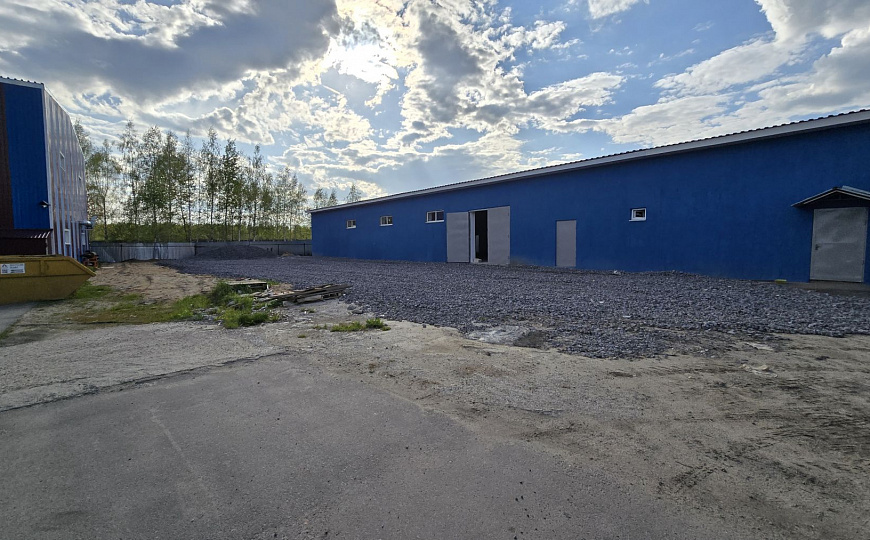 Сдам складское помещение, 600 м² фото