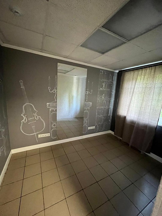 Центр, трафик, до 2500м² фото