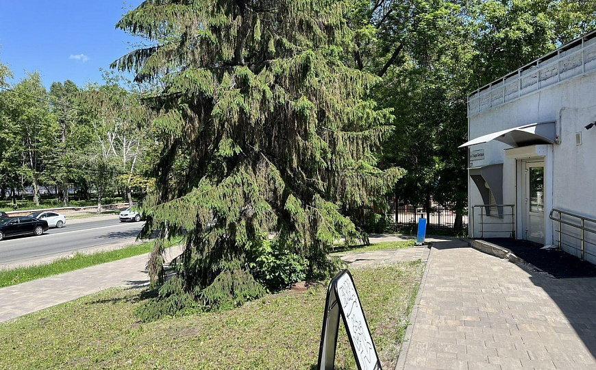 Помещение свободного назначения фото