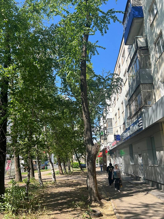 Аренда торгового помещения 125,5 м2 на ул. Авроры фото