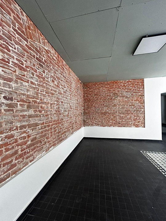 Центр, 250м² фото