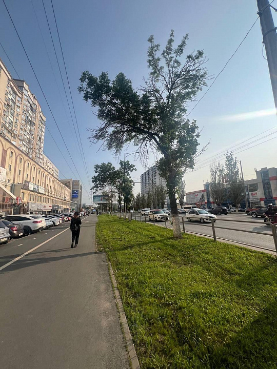 Продажа помещения 39 м2 в Охотном ряду фото