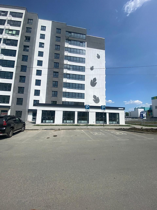 Помещение свободного назначения 275 м2. Булгаковский парк. фото