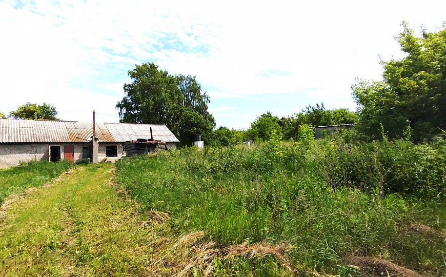 Сдам земельный участок, 17 727 м² фото