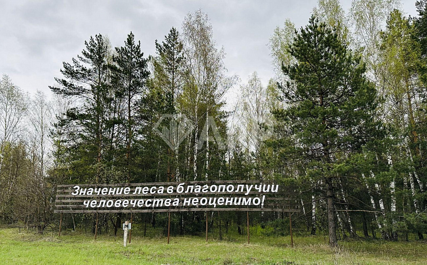 Здания  1200 кв.м. на участоке 40 соток фото