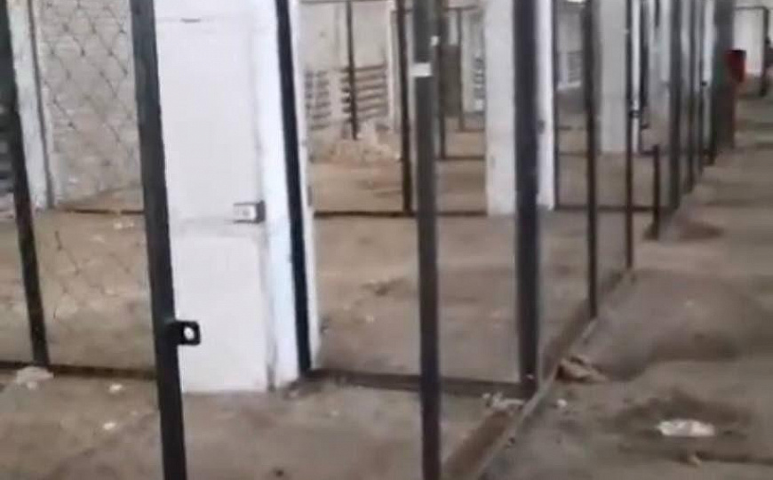 Теплый склад с пандусом 1 076 м² в Сургуте фото