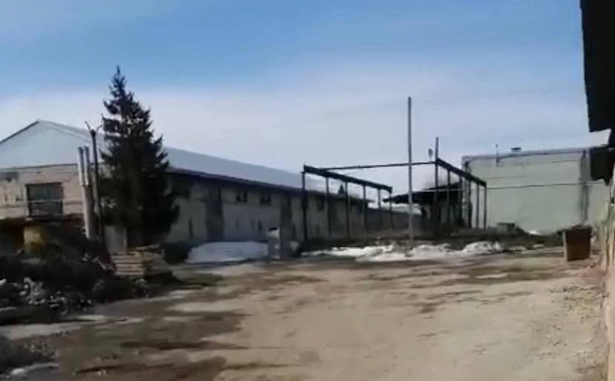 Теплый склад с пандусом 1 076 м² в Сургуте фото