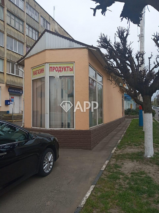 Сдам помещение свободного назначения, 25 м². До 50 м² фото