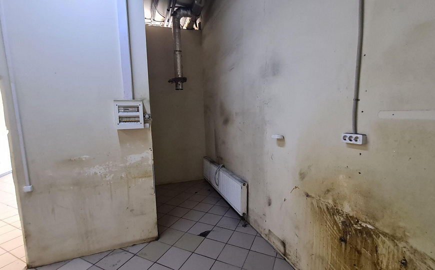 Сдам помещение свободного назначения, 181 м² фото