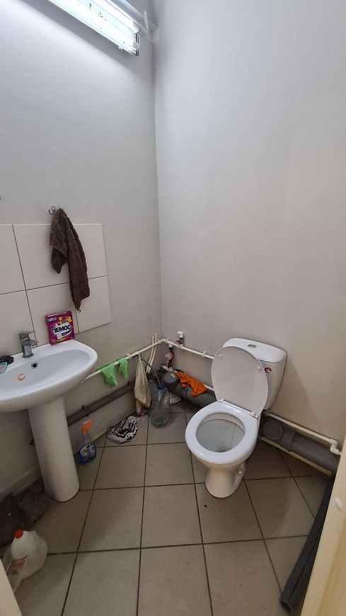 Сдам помещение свободного назначения, 181 м² фото