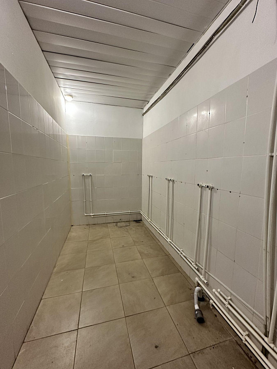Помещение 450 м2 в Дворце Спорта фото