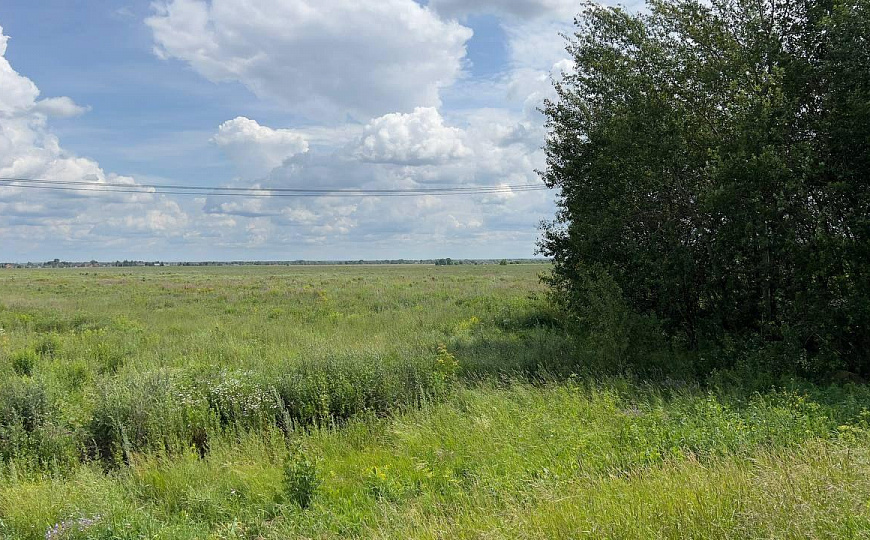 Продам земельный участок 0,6га фото