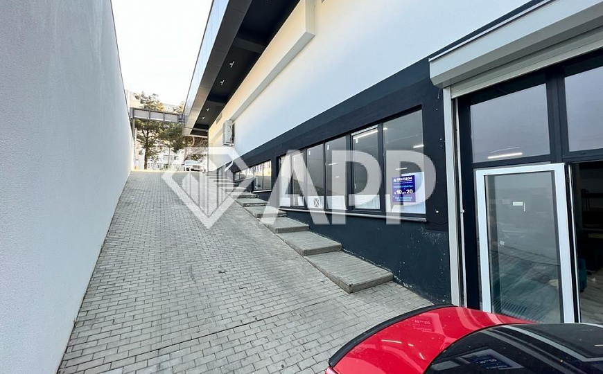 Сдам помещение свободного назначения, 240 м² фото