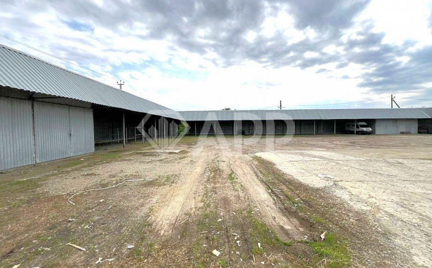 Сдаю торговое помещение, 1 300 м² фото