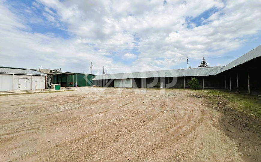 Сдаю торговое помещение, 1 300 м² фото