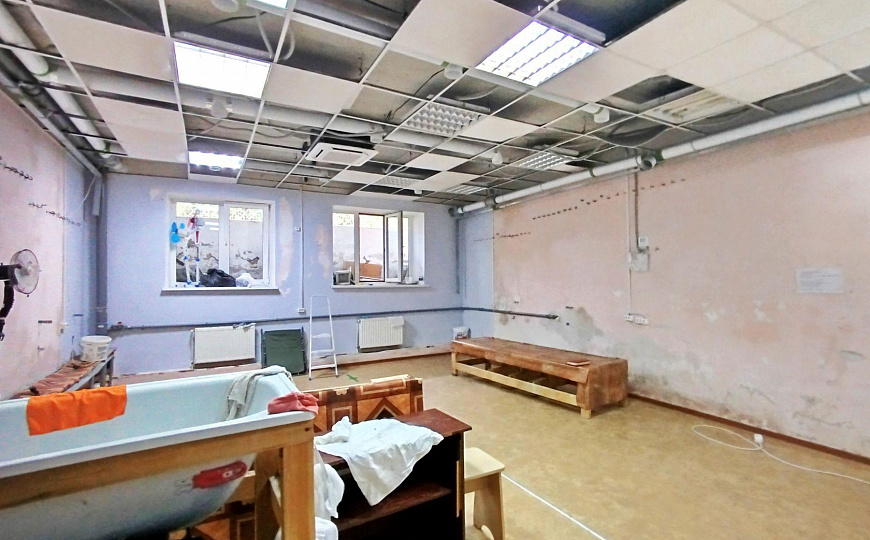 Сдам помещение свободного назначения, 45,6 м² фото