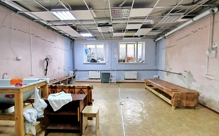 Сдам помещение свободного назначения, 45,6 м² фото