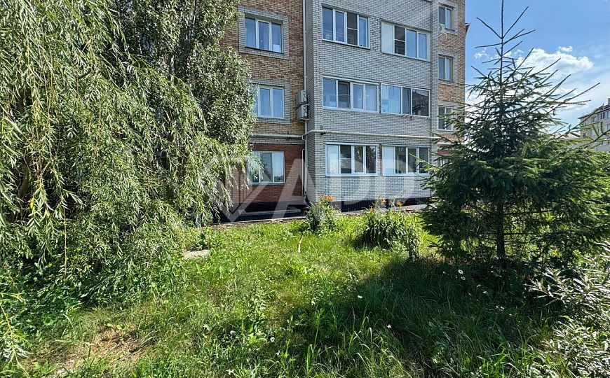 Большой жилой массив/Деление/Арендные каникулы фото