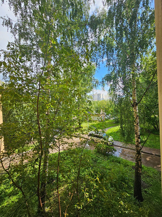 Сдаются 3 кабинета в бизнес-центре фото