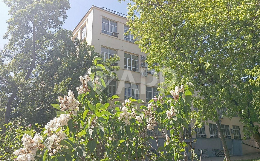 Офисные помещения фото