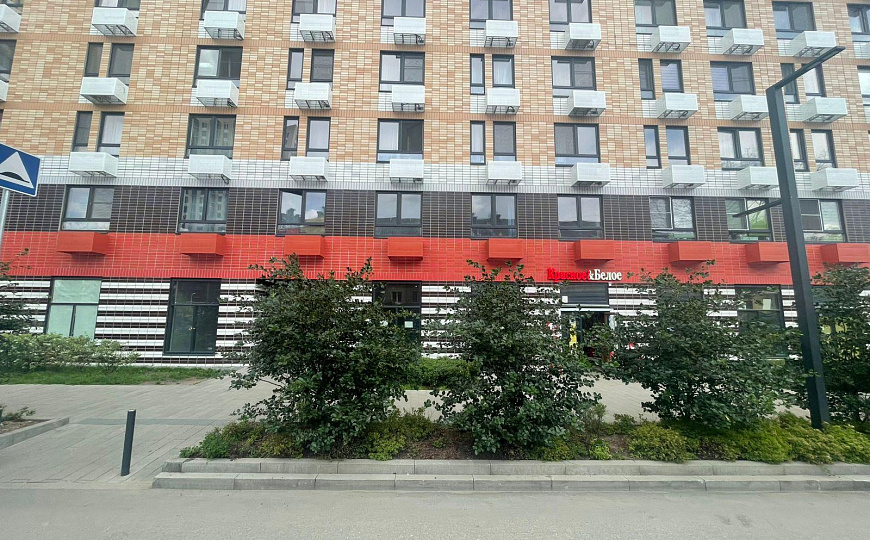 Сдам помещение свободного назначения, 51 м² фото