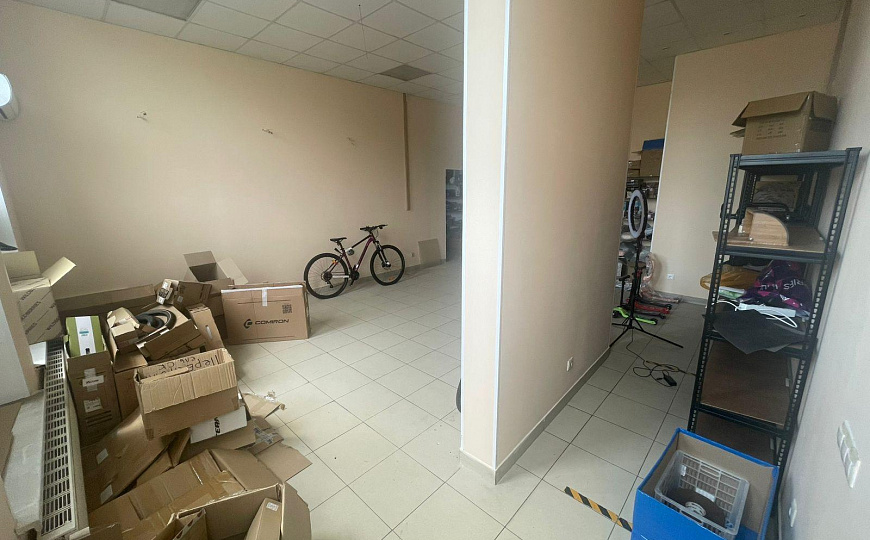 Сдам помещение свободного назначения, 64 м² фото