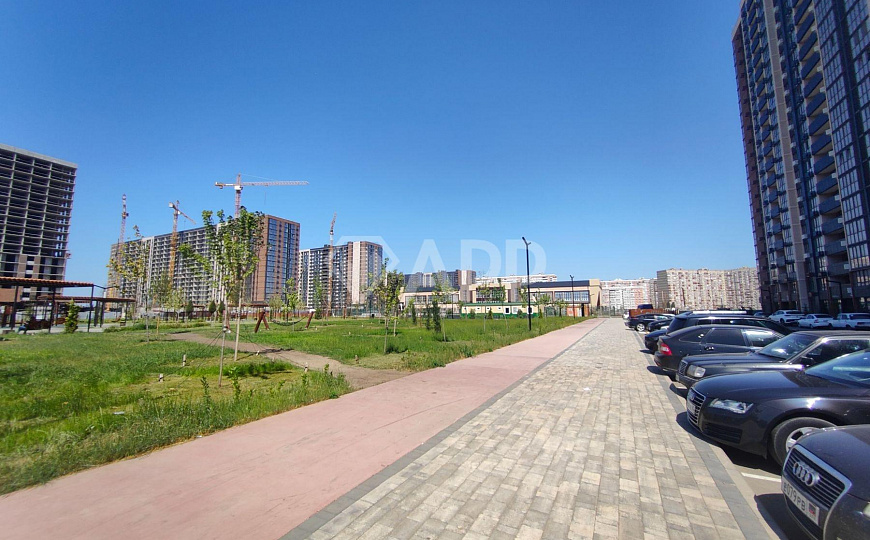 Сдам помещение свободного назначения, 31,3 м² фото