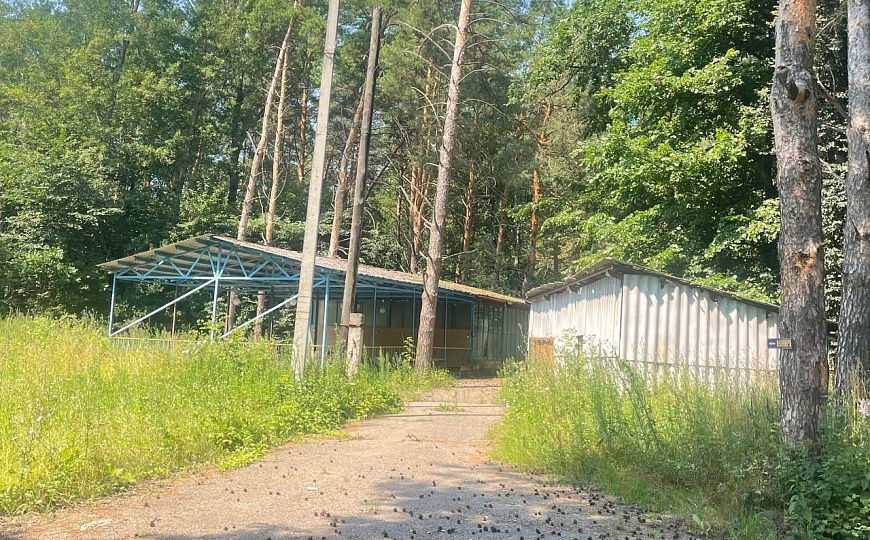 База отдыха "Сосновка" – Инвестиции в перспективный бизнес на природе!  фото