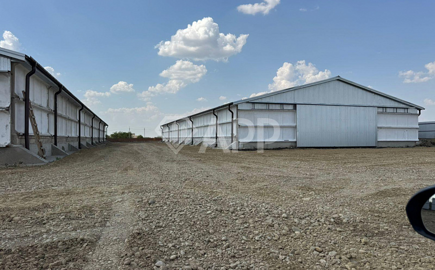 Продам производственно-складское помещение, общей площадью 2 446 м² и зем. участком 1.2 ГА. фото