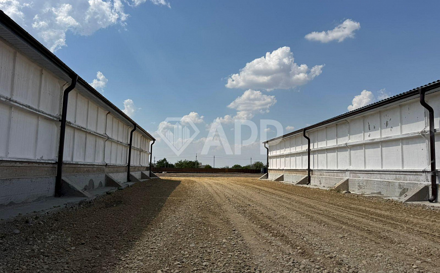 Продам производственно-складское помещение, общей площадью 2 446 м² и зем. участком 1.2 ГА. фото