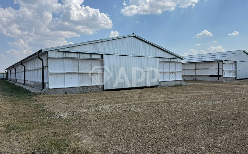 Продам производственно-складское помещение, общей площадью 2 446 м² и зем. участком 1.2 ГА. фото
