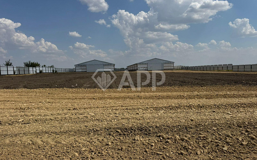 Продам производственно-складское помещение, общей площадью 2 446 м² и зем. участком 1.2 ГА. фото