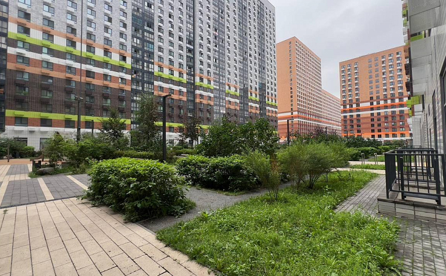 Сдам помещение свободного назначения, 29 м² фото