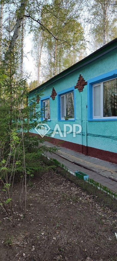Дом в лесу/Гостиница/База отдыха фото