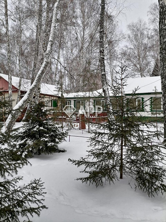 Дом в лесу/Гостиница/База отдыха фото