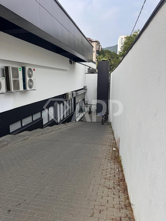 Сдам помещение свободного назначения, 240 м² фото