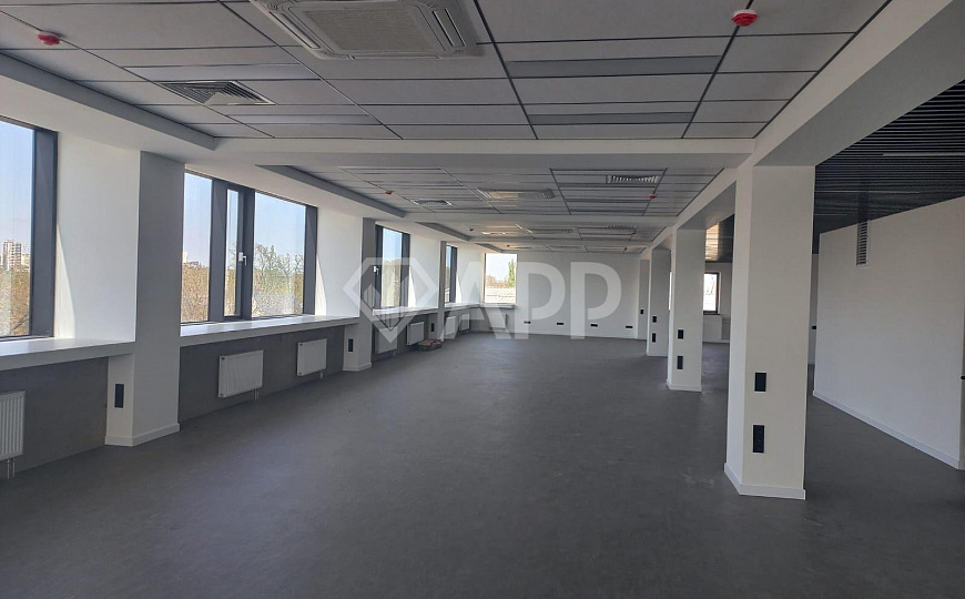 Сдаю офисные помещения, 250 м² фото