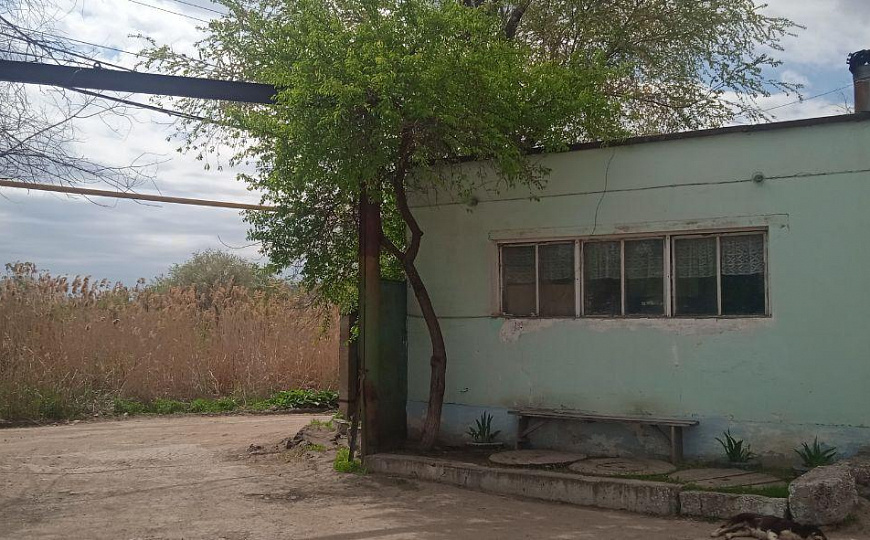 База (Производство + Овощехранилище), 14 000 м² фото