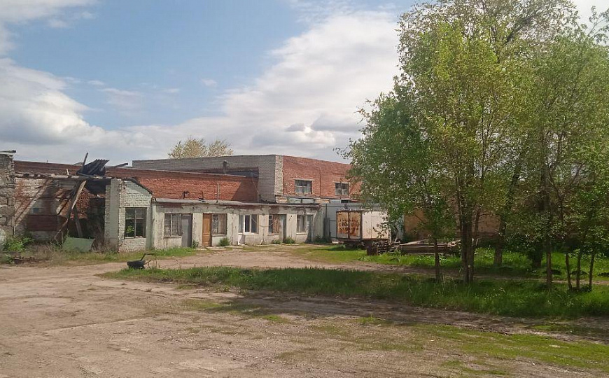 База (Производство + Овощехранилище), 14 000 м² фото