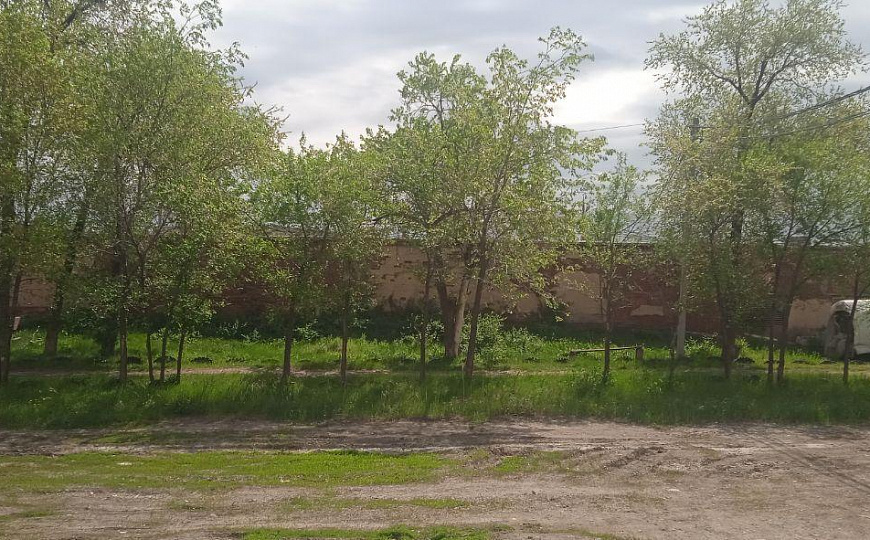База (Производство + Овощехранилище), 14 000 м² фото