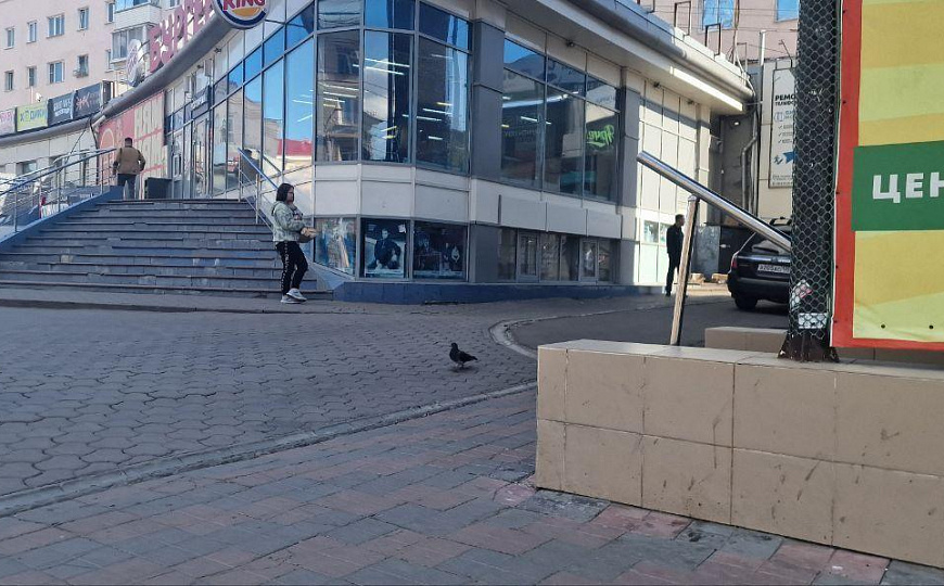 Свободного назначения/Очень высокий трафик/ Голубой Огонек/199 м² фото