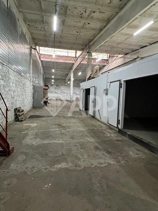 Сдам складское помещение, 500 м². С холодильными камерами фото